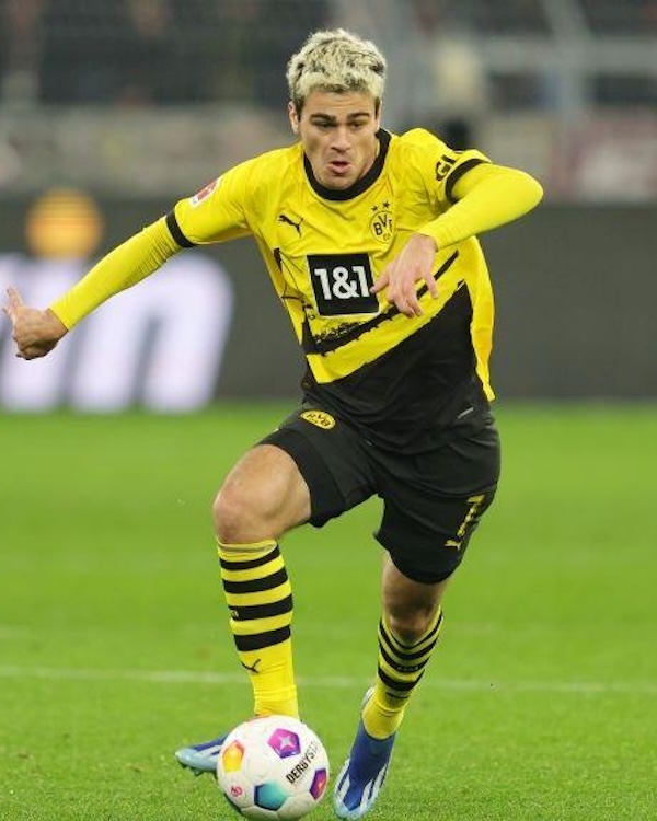 Gio Reyna